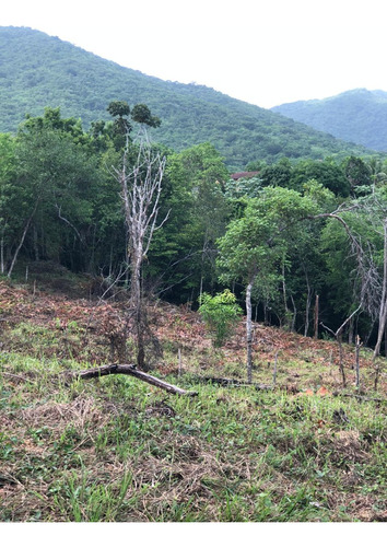 Oportunidad Se Vende Finca Con Titulo En La Carretera A Yamasa