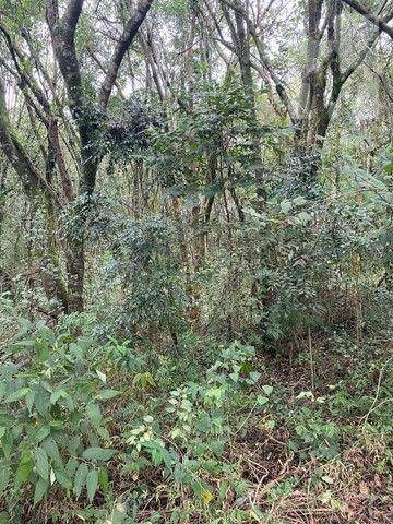 Imagem 2 de 4 de Terreno À Venda, 1700 M² - Loteamento Santo Antonio - Jundiaí/sp - Te0420