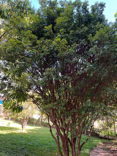 Linda Chácara De 1.600m2 No Interior De São Paulo Na Divisa De Limeira Com Artur Nogueira, Região De Campinas
