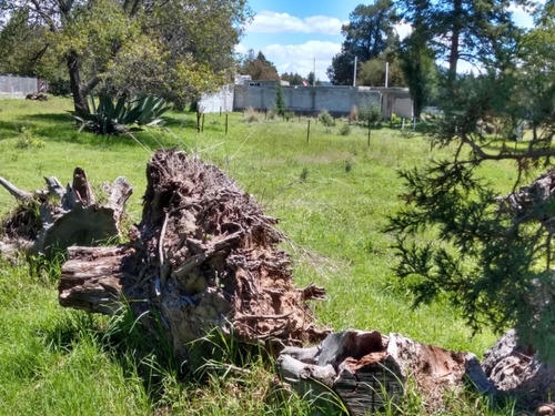 Imagen 12 de 14 de Venta Terreno Urbanizado Apizaco Calpulalpan Y Tlaxcala Cerc