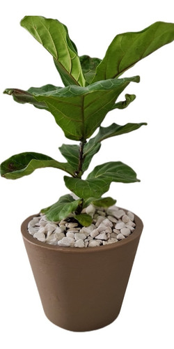 Maceta Minimalista De Plastico Para Exterior Petunia 36