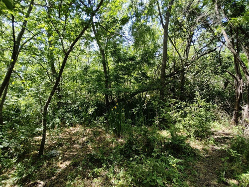 Imagen 25 de 30 de Importante Lote De 19.550 M², Ubicado En La Costa De Sarandí. Oportunidad