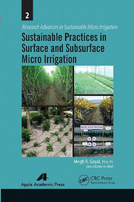 Libro Sustainable Practices In Surface And Subsurface Mic...