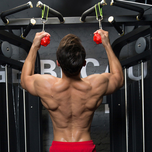 Entrenamiento De Los Músculos De Los Brazos Y La Espalda: La
