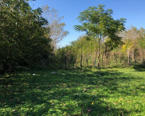 Imagen 9 de 14 de Lotes Terreno En Venta Barrio Frida Kahlo Mariano Acosta Financiados