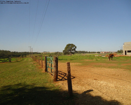 Imagem 7 de 14 de Terreno - Te00220 - 2610211