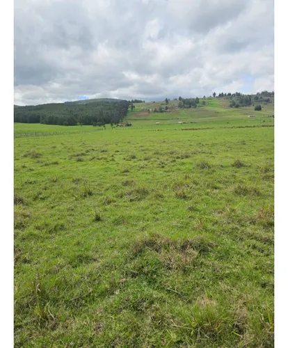Venta De Lote Vereda Forantiva Oicata