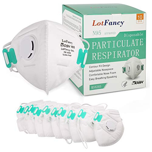 Lotfancy Niosh N95 Mask, 10pcs Respirador De Partículas Con 