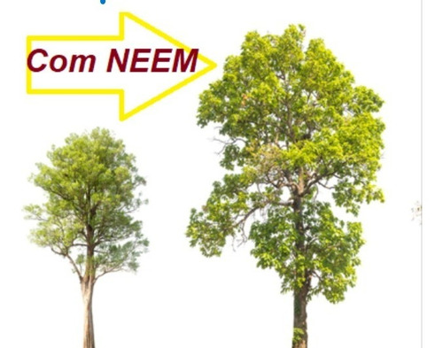 Terra Vegetal Especial Para Apartamentos Não Tem Estercos