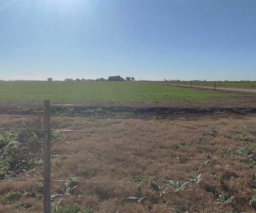 Excelente Campo 90% Agricola En Tres Sargentos