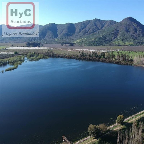 Imagen 4 de 21 de Venta Terreno 7500 M2 Con Bosque, En Idahue ¡mejor Precio!