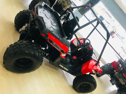 Rzr Polaris Ace 150 2017