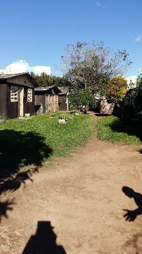 Terreno Em Restinga - Mi16402