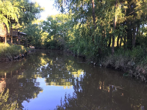 Imagen 3 de 7 de Terreno - Parana De Las Palmas Tigre