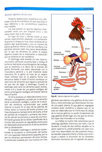 Manual Técnico De Ganadería, Tapa Dura, Grupo Cultural