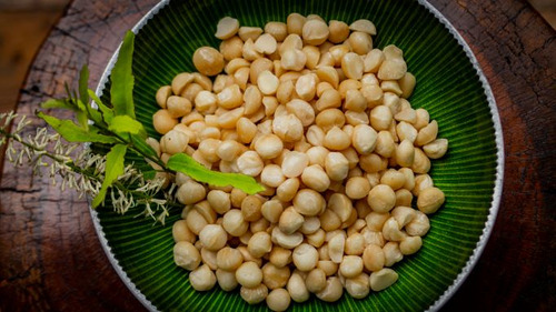 Macadâmia Natural Inteira Tipo 2 - 1,05kg Grauda