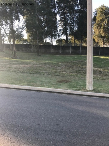 Terreno No Condomínio Phytus Com Tamanho Diferenciado 331 M². - Te01188 - 69277209