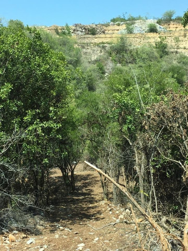 Imagen 9 de 11 de Campestre