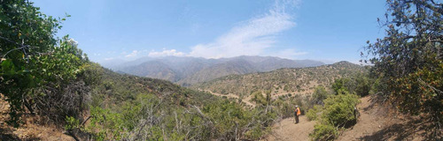 El Arrayan (100810)
