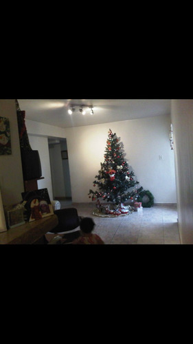 Imagen 7 de 12 de Apartamento Santa Rosalía