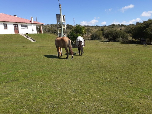 Campo Financiado