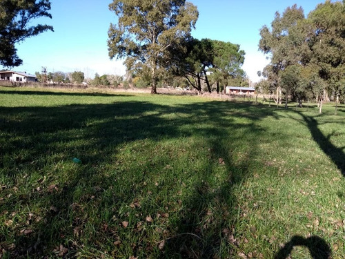Imagen 3 de 10 de Lote De 50 X 58 En El Casal A Una Cuadra De La Ruta 2
