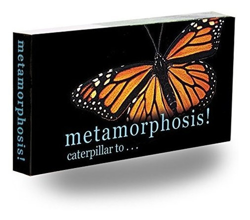 Fliptomania Monarch Butterfly Flipbook