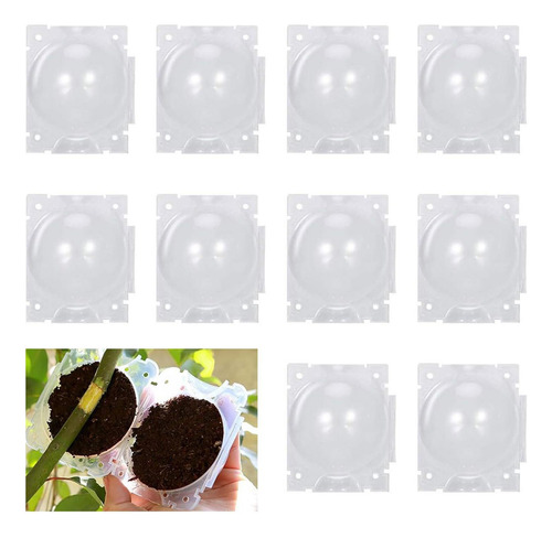 10 Cajas De Cultivo Para Enraizar Plantas, Equipo De Injerto