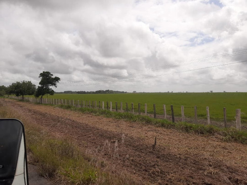Imagen 20 de 27 de Se Vende Finca El Maitero Via El Sur De Monagas Ve02-1098vs-mtru