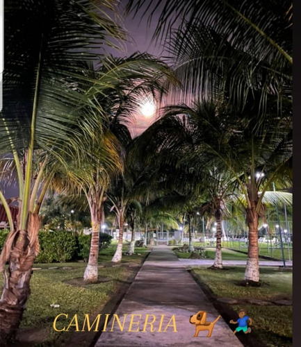 Higuerote Apartamento En Venta