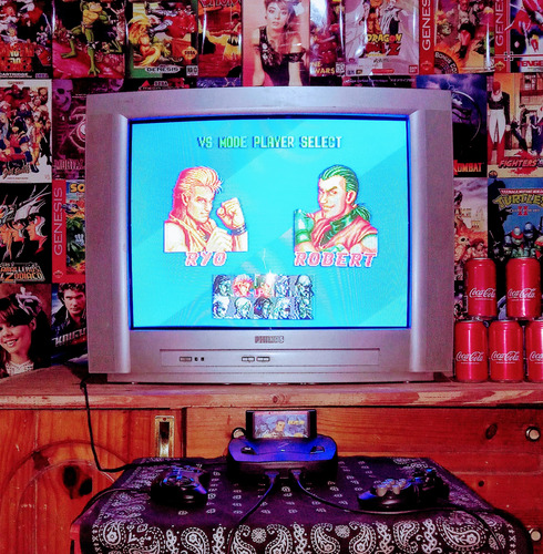 Cartucho De Sega Art Of Fighting
