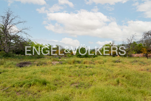 Sitio En Condominio, Los Nogales