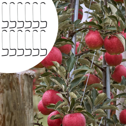 12x Frutal De Frutas Ramificador De Rama Extracción 18 Cm
