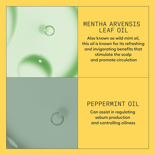 Nioxin System 1, Condicionador Terapêutico, Com Óleo De Hort