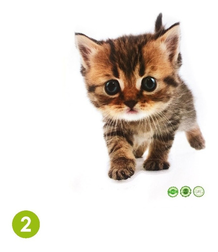 Vinilo Adhesivo 3d, Póster De Gato, Decoración.