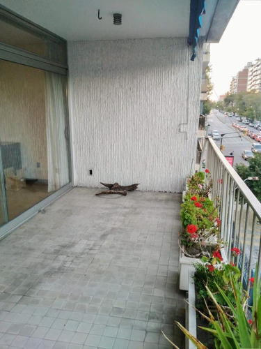 Imagen 5 de 30 de Bv España Proximo Rambla