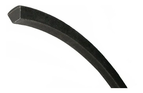 Banda Multiple Lisa B190 ( 12 Costillas ) Black Gold