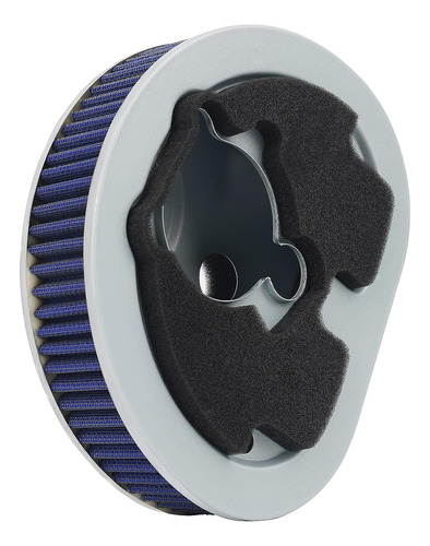 Filtro De Aire Compatible Con Harley Fxdyn Flhr Flhtcu Flstf