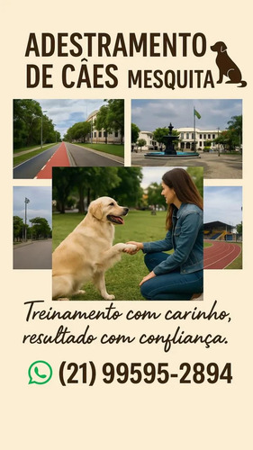 Adestramento E Educação Completa De Filhotes Rj