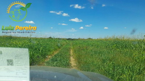 Imagem 6 de 15 de Fazenda À Venda Em Divinópolis - To - De 1.476 Hectares - 1747