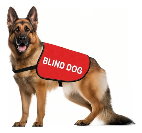 comprar Jxgzso Regalo Para Necesidades Especiales Chaleco Para Perro
