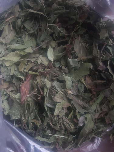 Calea Zacatechichi (hierba Del Sueño Lúcido) 19g