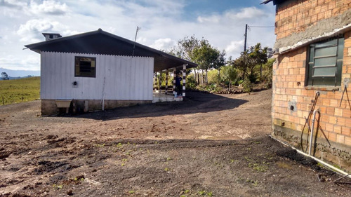 Imagem 15 de 15 de Chácara Para Venda Em Santo Antônio Da Patrulha, 3 Dormitórios, 1 Banheiro - Cwvcr010_2-1036806