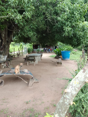 Se Vende Granja En El Estado Carabobo Ve02-1321carab-mtru