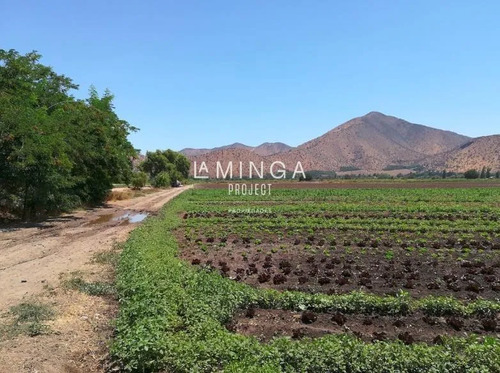Sitio En Venta En Maipú La Farfana