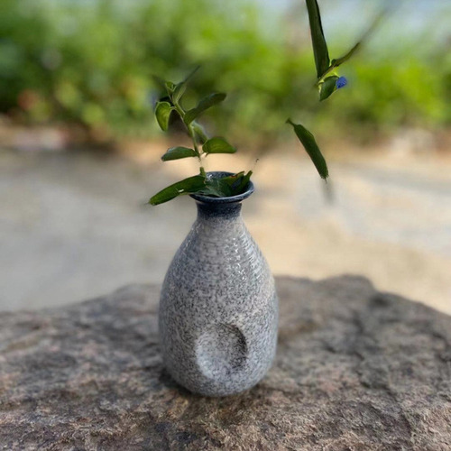 1 Juego De Exquisitas Tazas De Sake De Cerámica De Estilo Ja