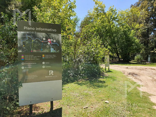 Imagen 2 de 3 de Terreno - Puertos Del Lago