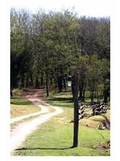 Imagen 2 de 17 de Lotes En Venta Ascochinga El Buen Aire 5000 A 10000 Metros