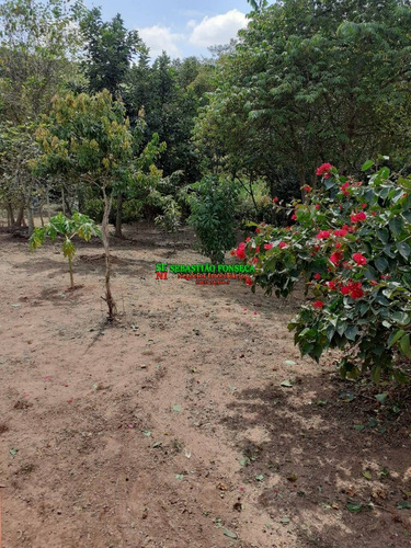 Imagem 1 de 15 de Chácara 6 Mil M² Em Cachoeira De Minas - Mg - 1999
