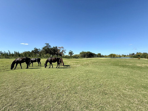 Chacra Haras Venta 11 Has Pando, Canelones